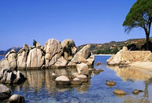 莱特币现货 ETF 认证：这是否将成为 LTC 的突破时刻？