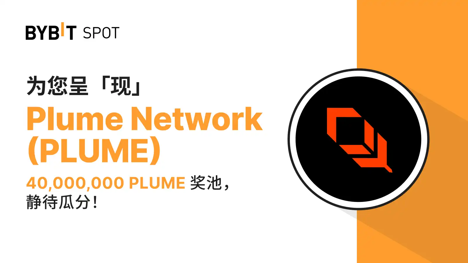 MY_2501-T46605_PLUME_Listing_B2_1600x900.webp