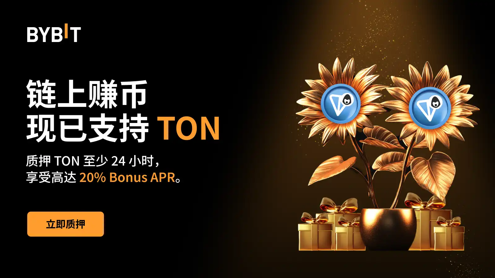 MY_1600x900 (1).webp